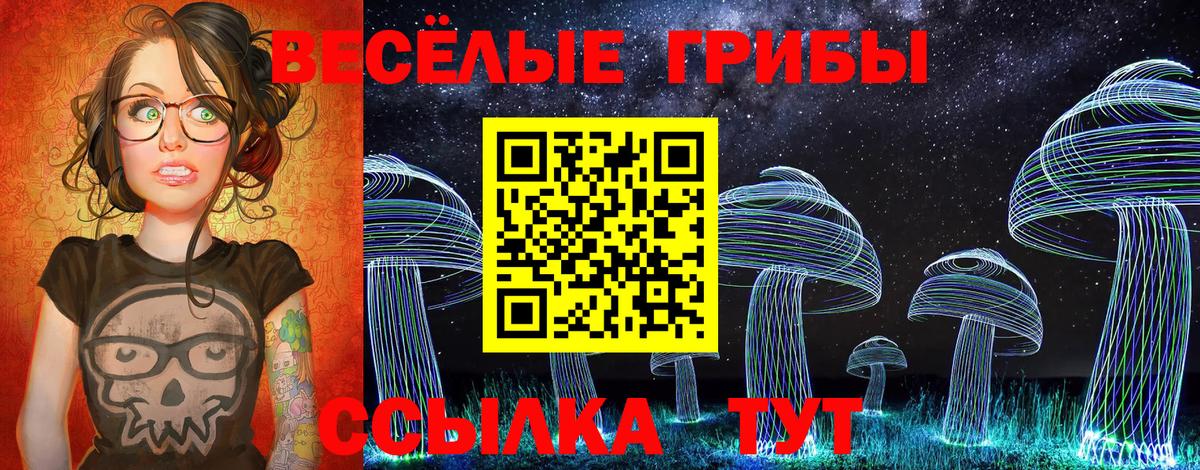 Галлюциногенные грибы Cubensis  Вход с VPN  Тамбов 